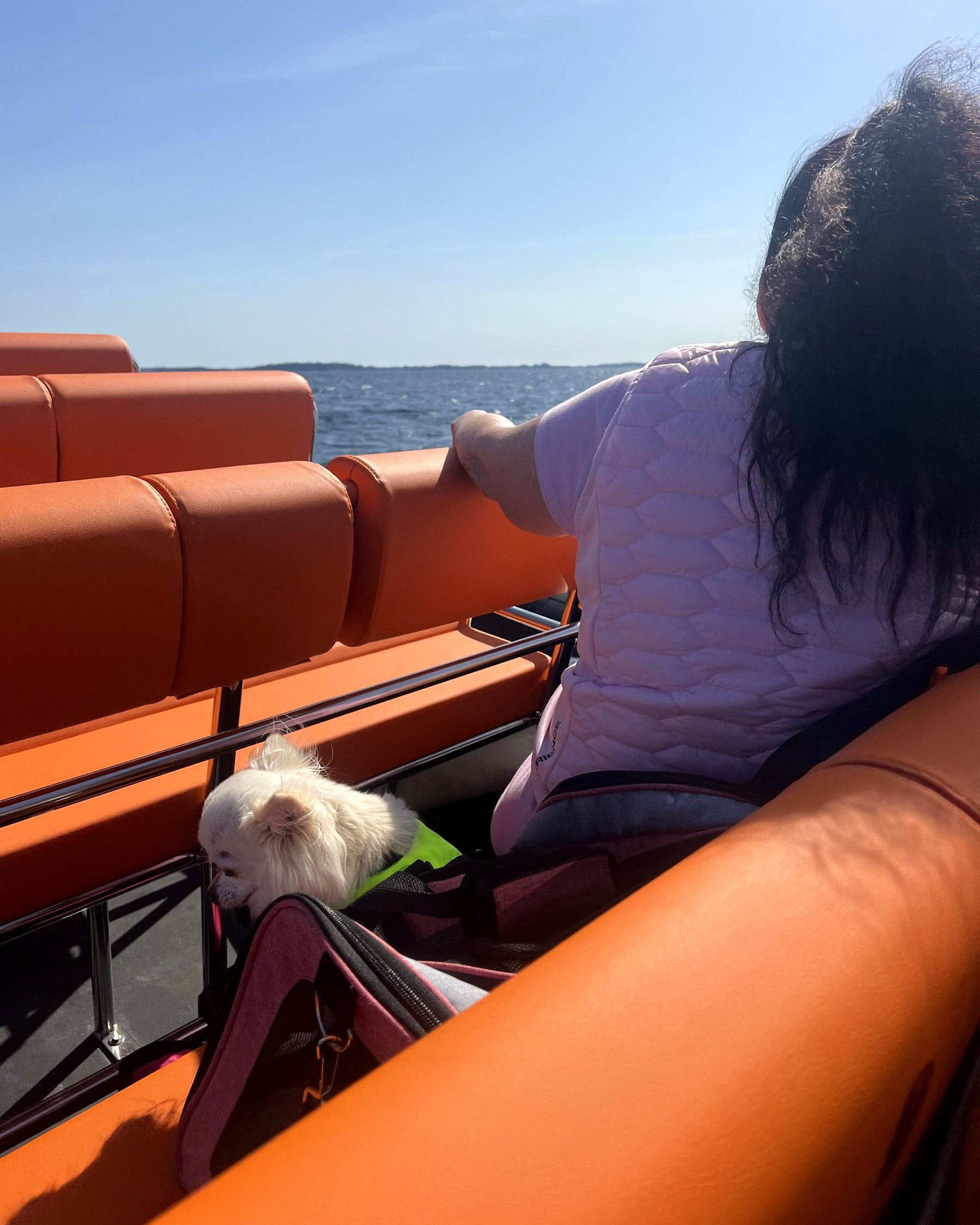 A guest watching the fjord go past from the RIB