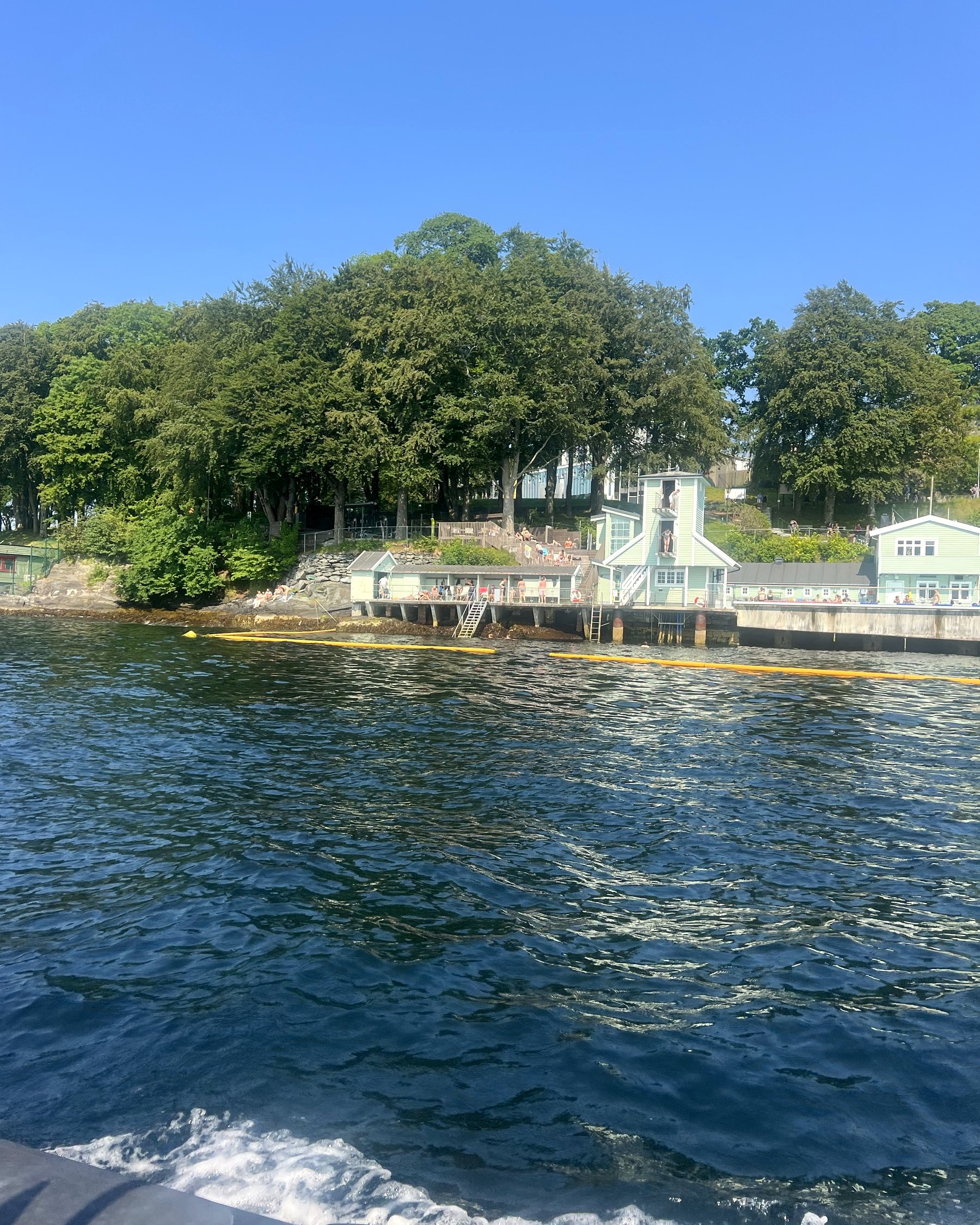 The wake behind the RIB along a wooded shoreline